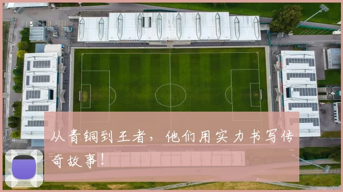 从青铜到王者,他们用实力书写传奇故事!