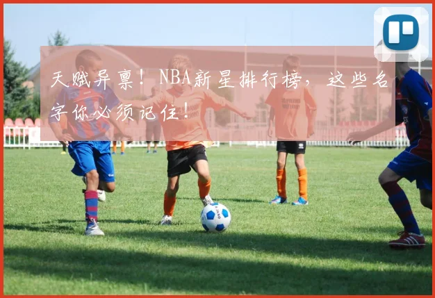 天赋异禀！NBA新星排行榜，这些名字你必须记住！